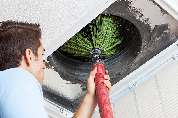 Best HVAC Maintenance and Cleaning  in Brown City, MI